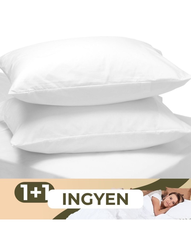 EMI Standard antiallergén párna 35x45cm 1+1 INGYEN