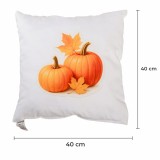 emi_pumpkin_diszparna_40X40
