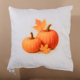 emi_pumpkin_diszparna_40X40