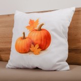 emi_pumpkin_diszparna_40X40