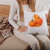 emi_pumpkin_diszparna_40X40