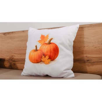 emi_pumpkin_diszparna_40X40