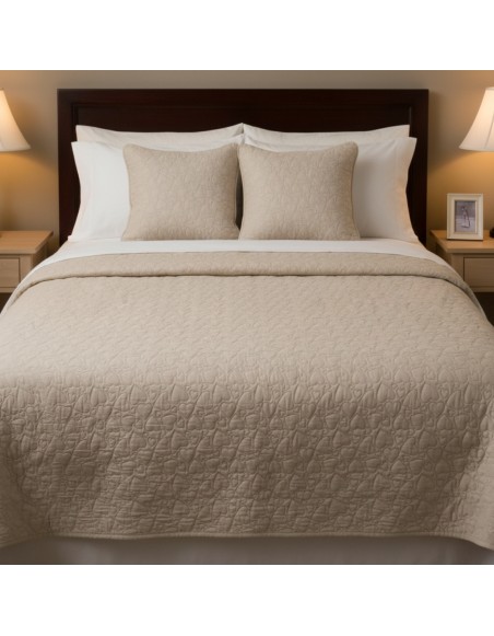 agytakaro_Sorina_EMI