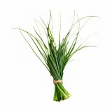 EMI Lemongrass aromapárna 50x70 cm