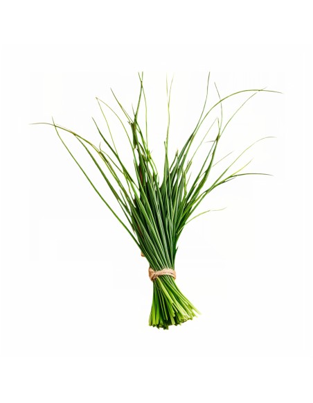 EMI Lemongrass aromapárna 50x70 cm