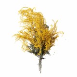 emi_albizia_aromaparna_50x70_cm