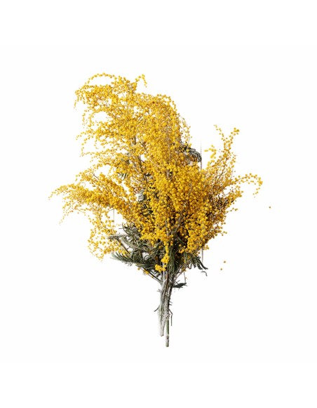 emi_albizia_aromaparna_50x70_cm