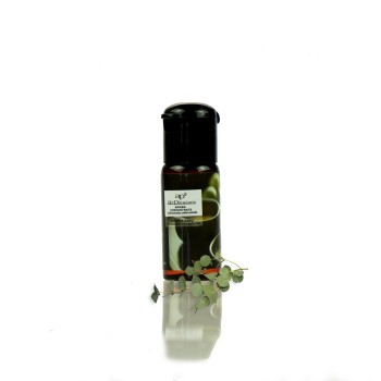 AirPleasure Éterický olej eukalyptus a mäta prieporna 15 ml